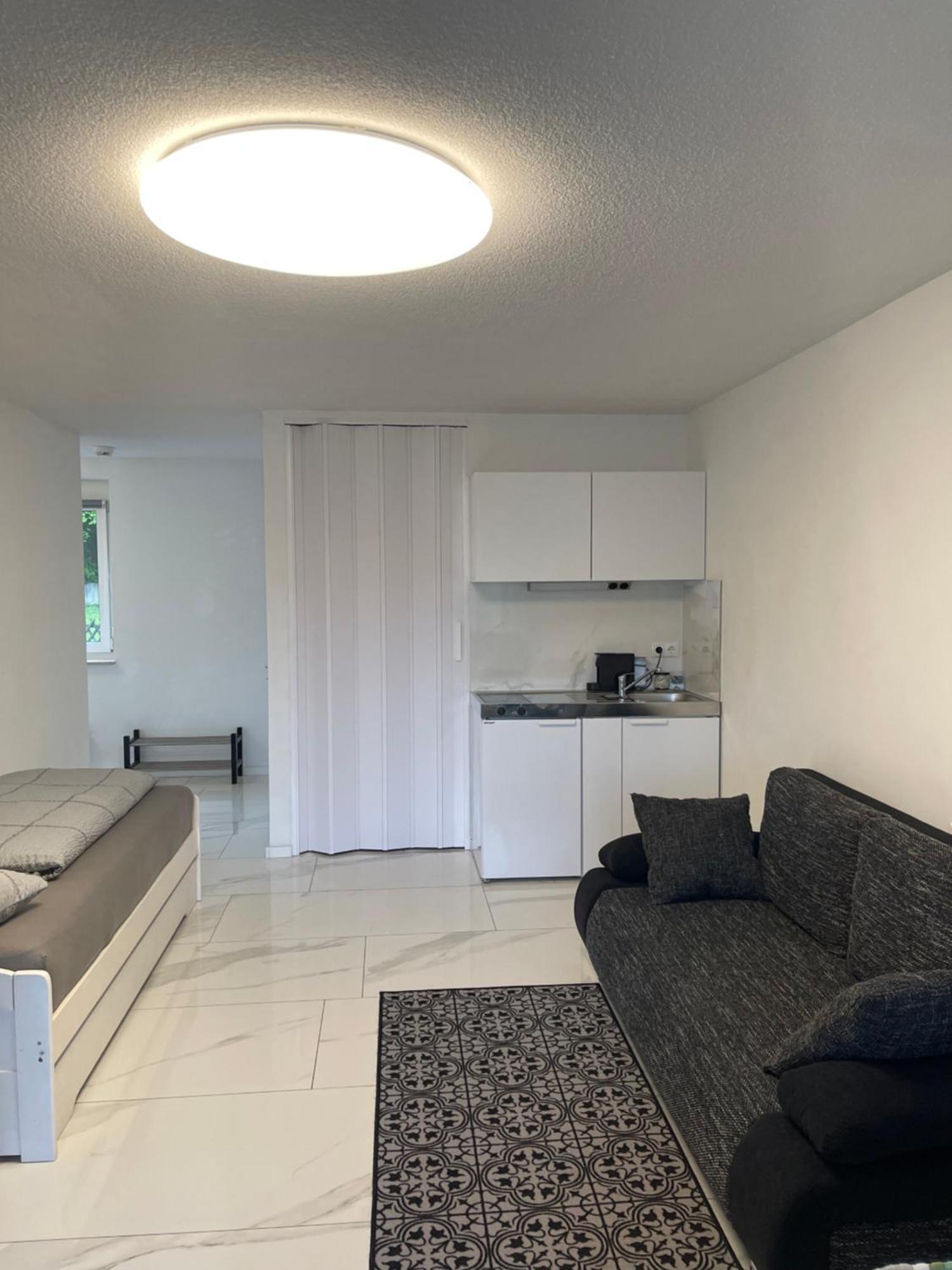 באד זקינגן Apartment Bergsee מראה חיצוני תמונה